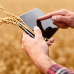 Цифровое сельское хозяйство повысит урожайность